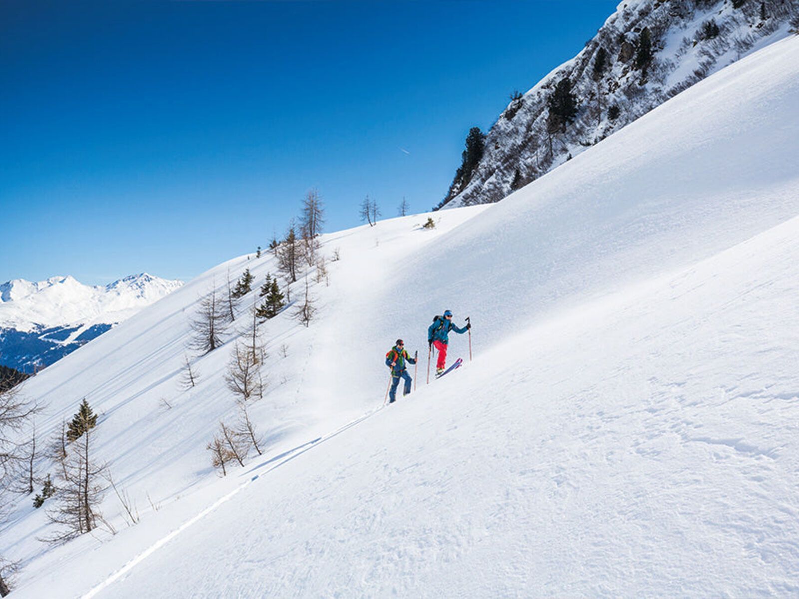 Contour Guide Allround 115 mm, black - Bild 3