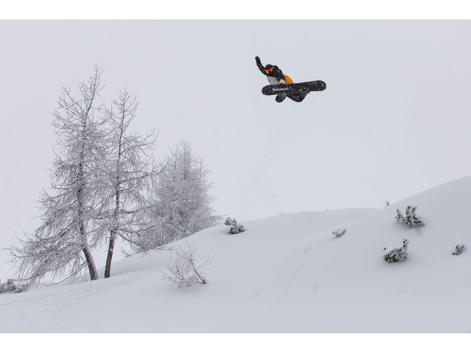 Bataleon ThunderStorm - Bild 9