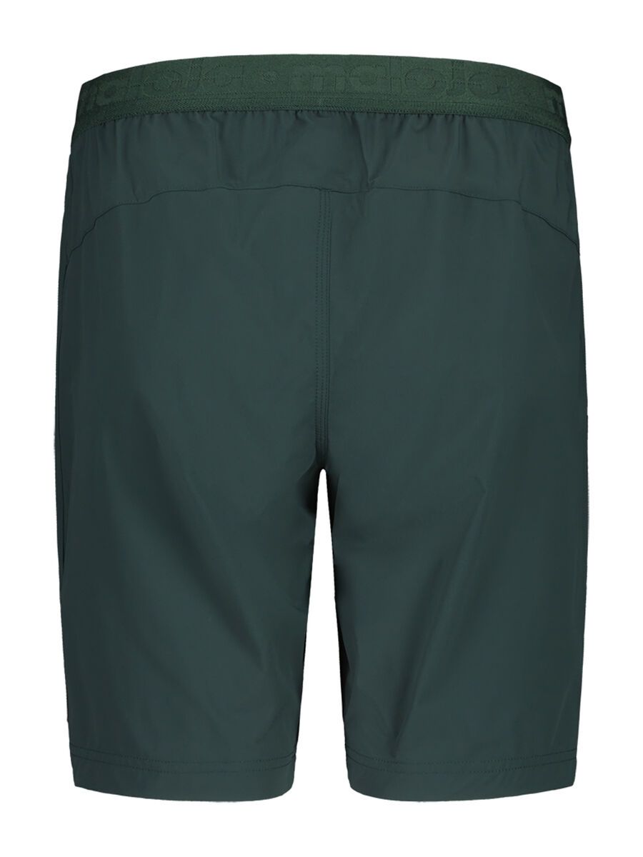 Maloja StagiasM., mountain pine - Bild 2