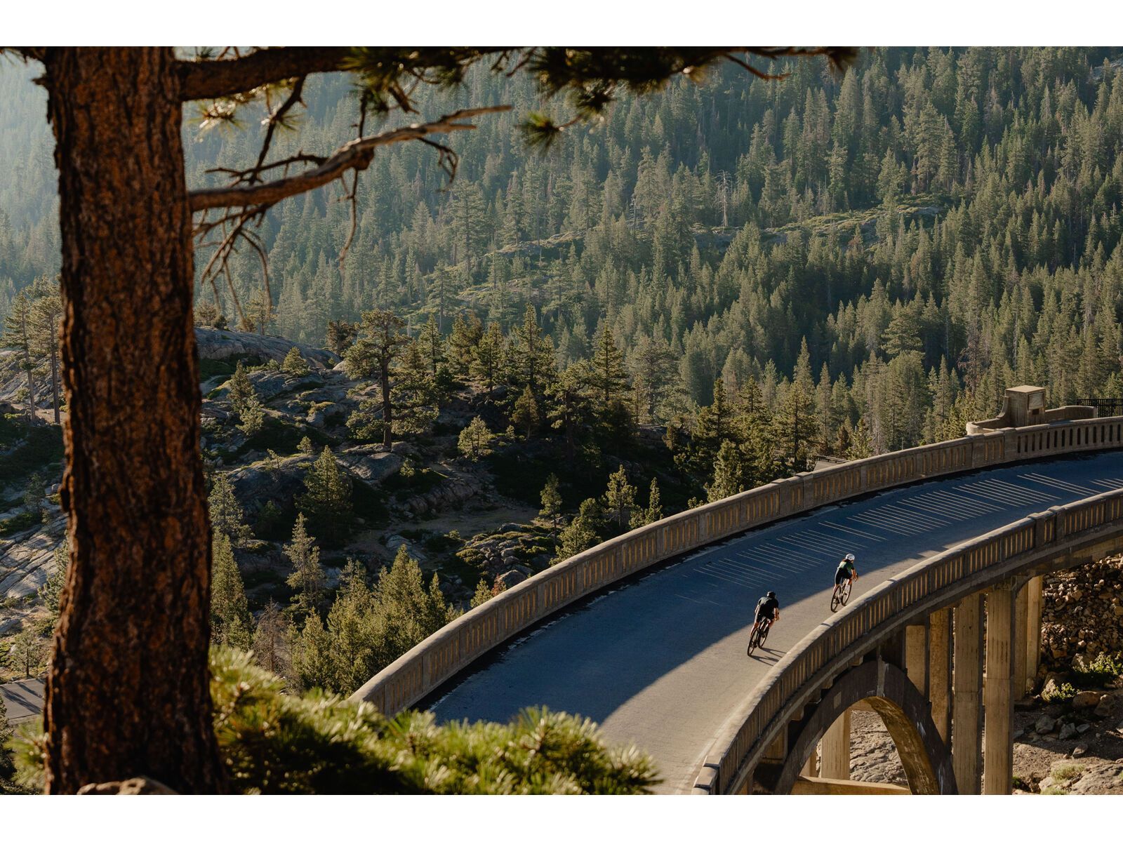 Specialized Turbo Creo 2 Expert Carbon, black pearl/birch/black pearl - Bild 21