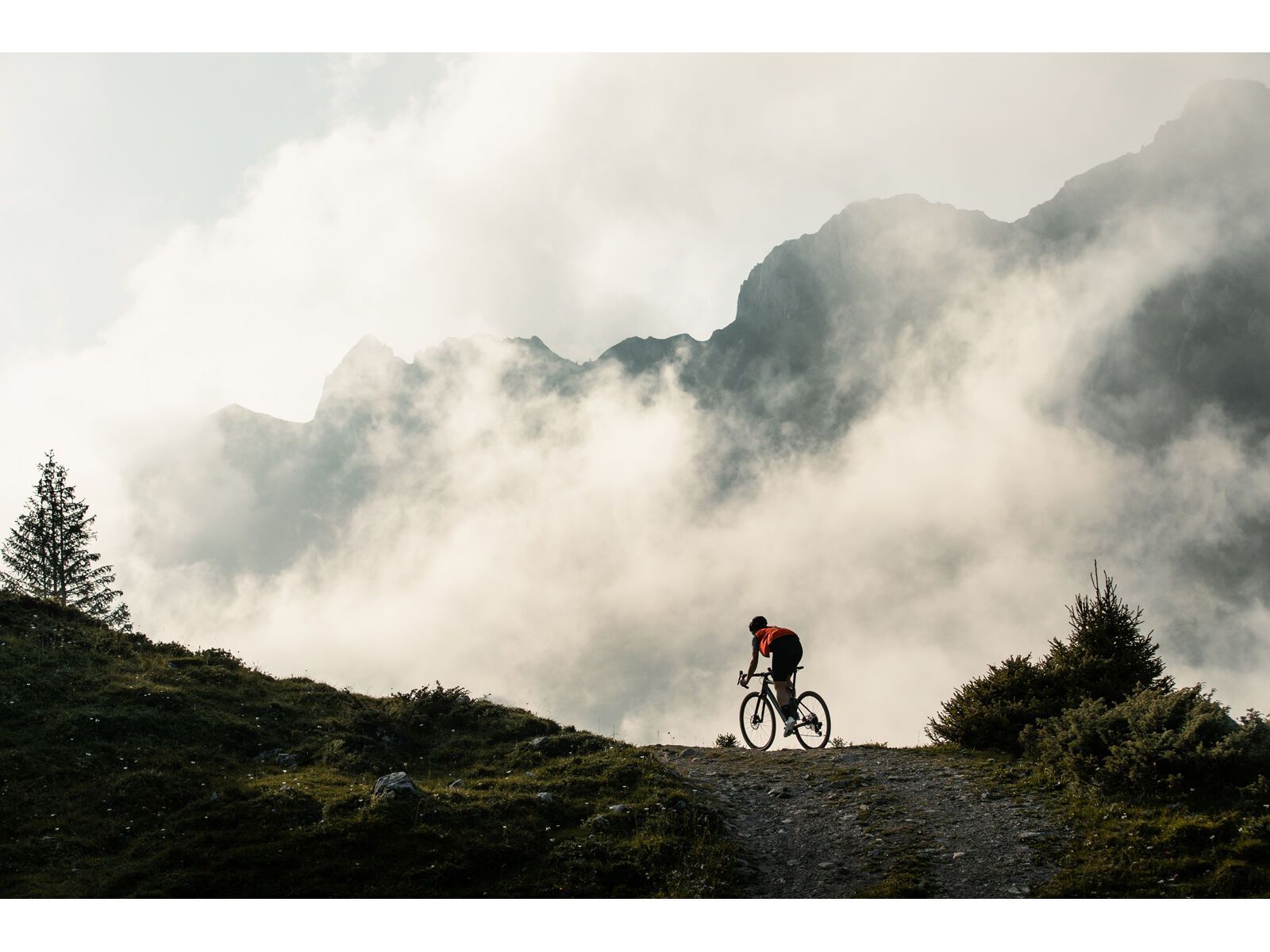 BMC URS LT Two - Bild 22