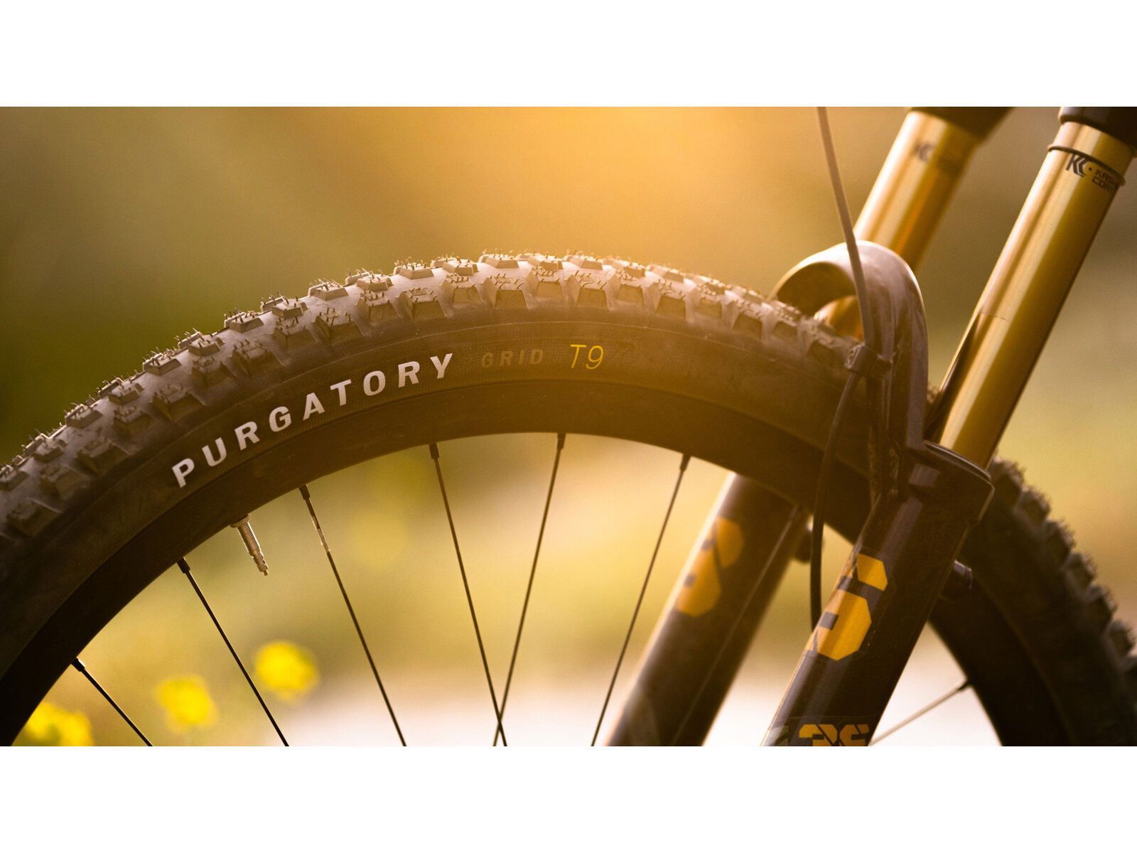 Specialized Purgatory Grid 2Bliss Ready T9 - 29 Zoll - Bild 5