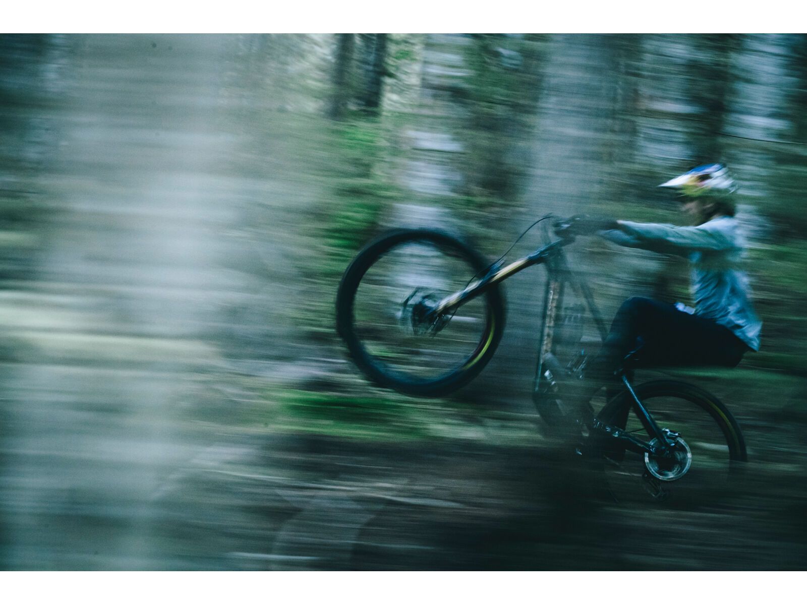 Santa Cruz Vala C / S / MX, gloss grey - Bild 12