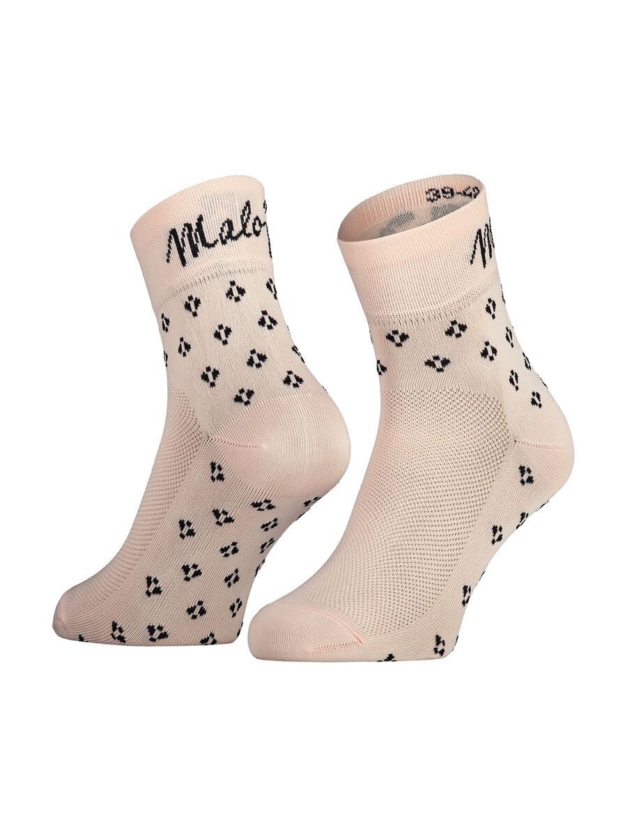 Maloja EtagenmoosM., bloom - Bild 1