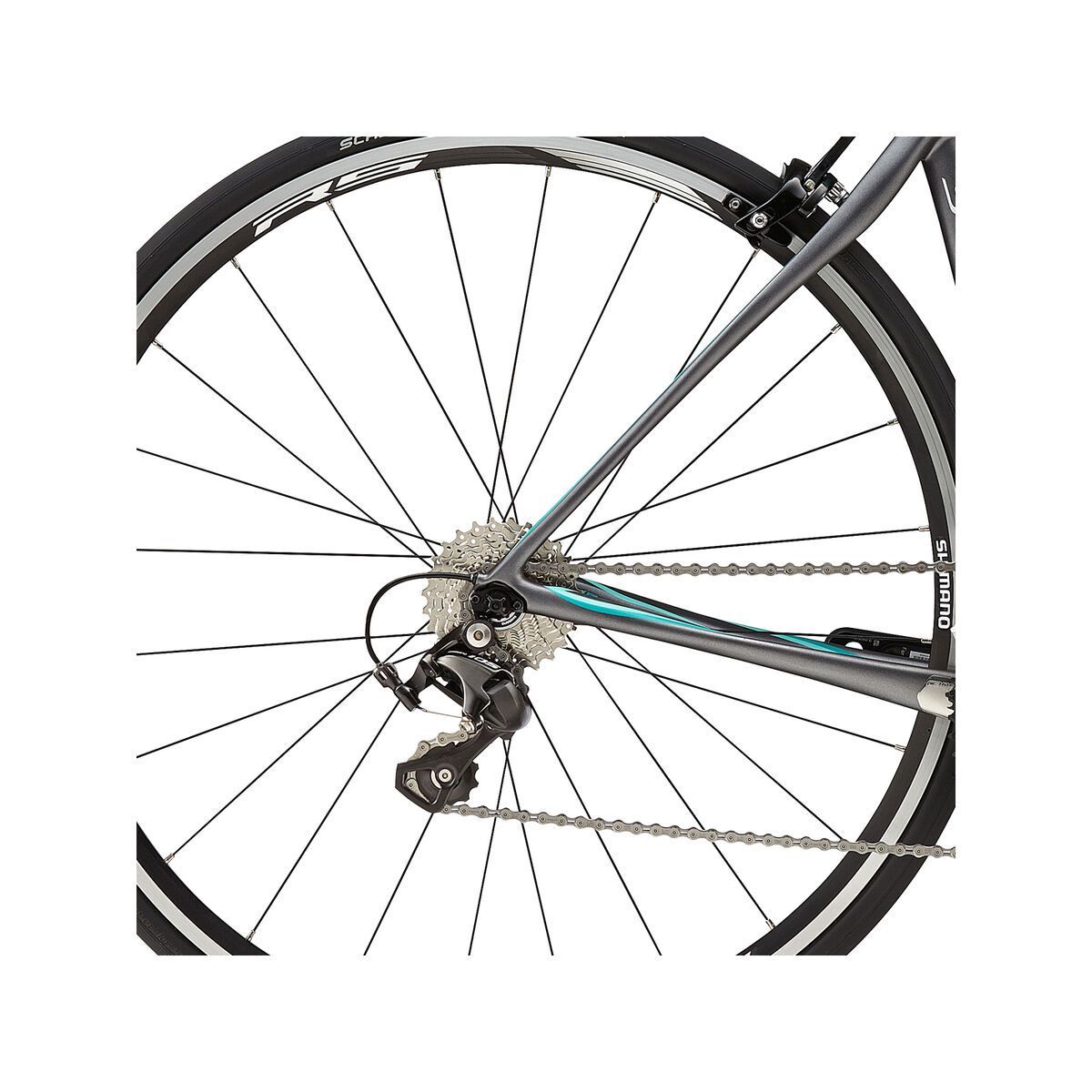 Cannondale Synapse Carbon Womens 6 105, jet black with charcoal grey, sea and tropics - Bild 4