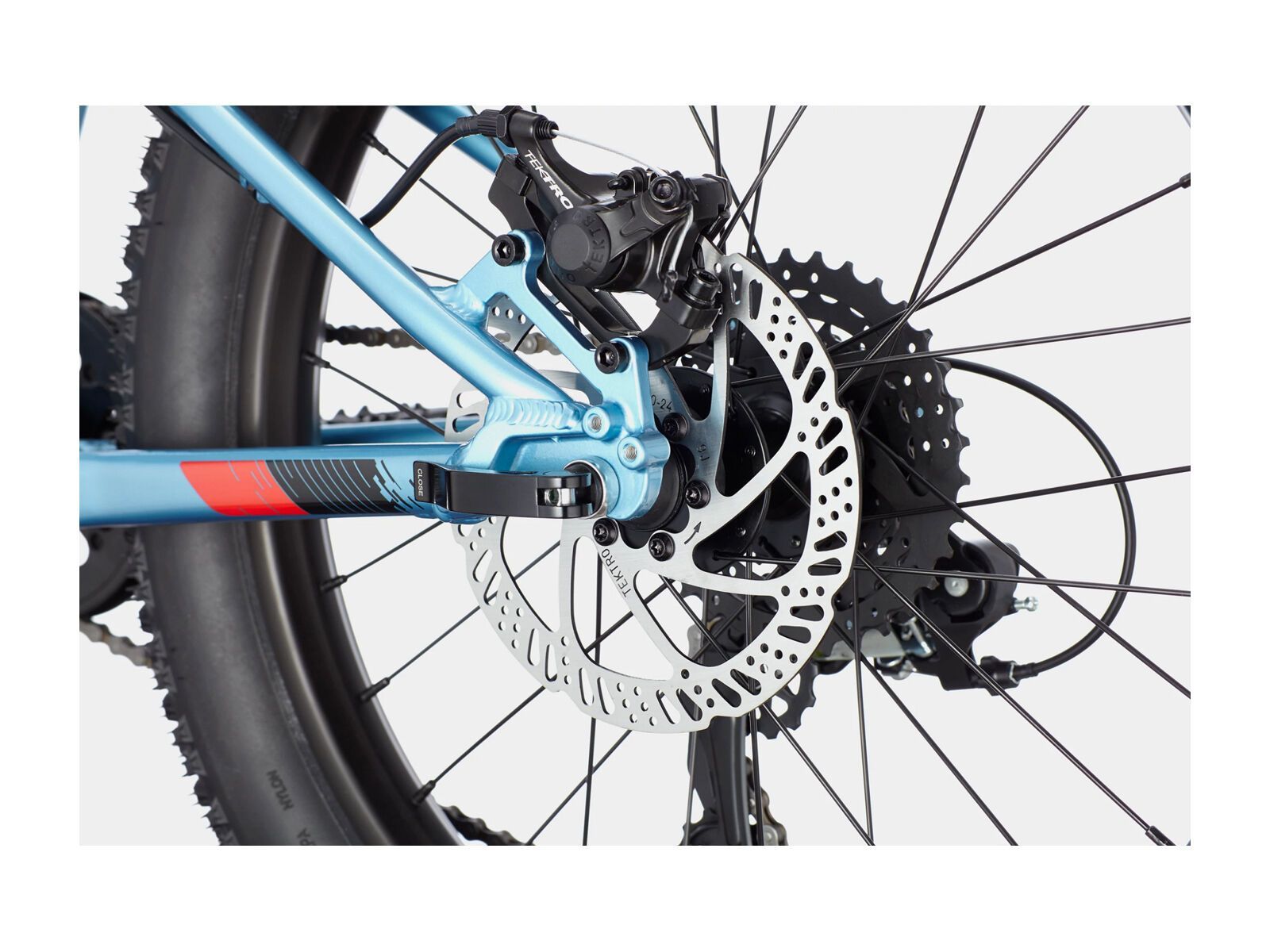 Cannondale Cujo 20 Plus, alpine - Bild 6