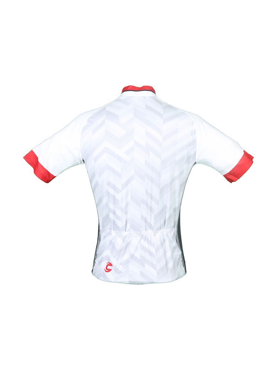 Cannondale Performance 2 Pro Jersey Short Sleeves, race red - Bild 3