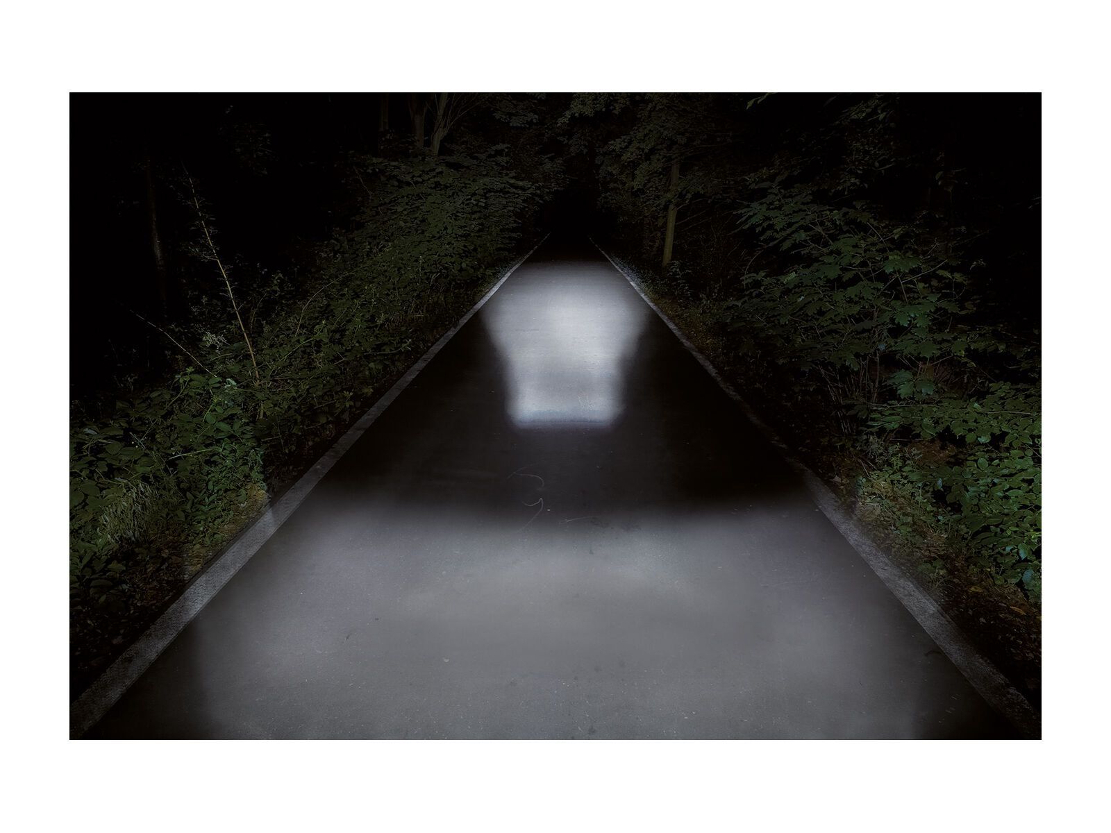 Trelock LS 350 I-GO Sport / LS 710 Reego - Beleuchtungsset - Bild 4