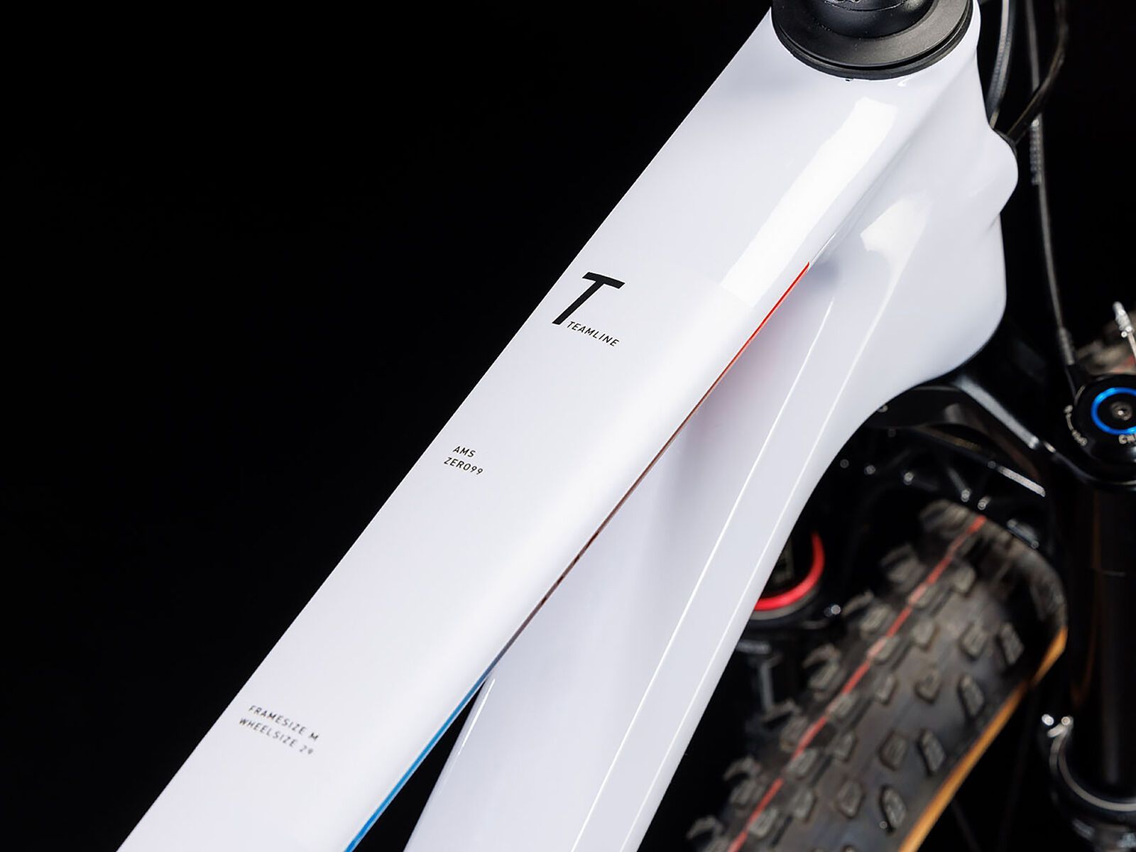 Cube AMS ZERO99 C:68X SL 29, teamline - Bild 3