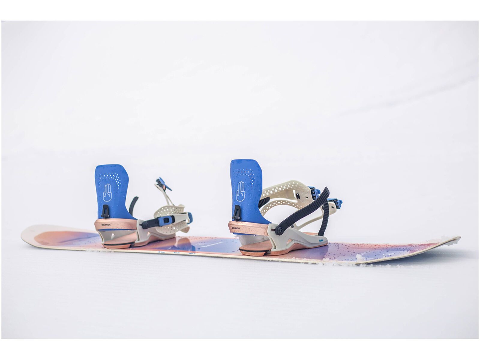 Bataleon Gata, blue - Bild 8