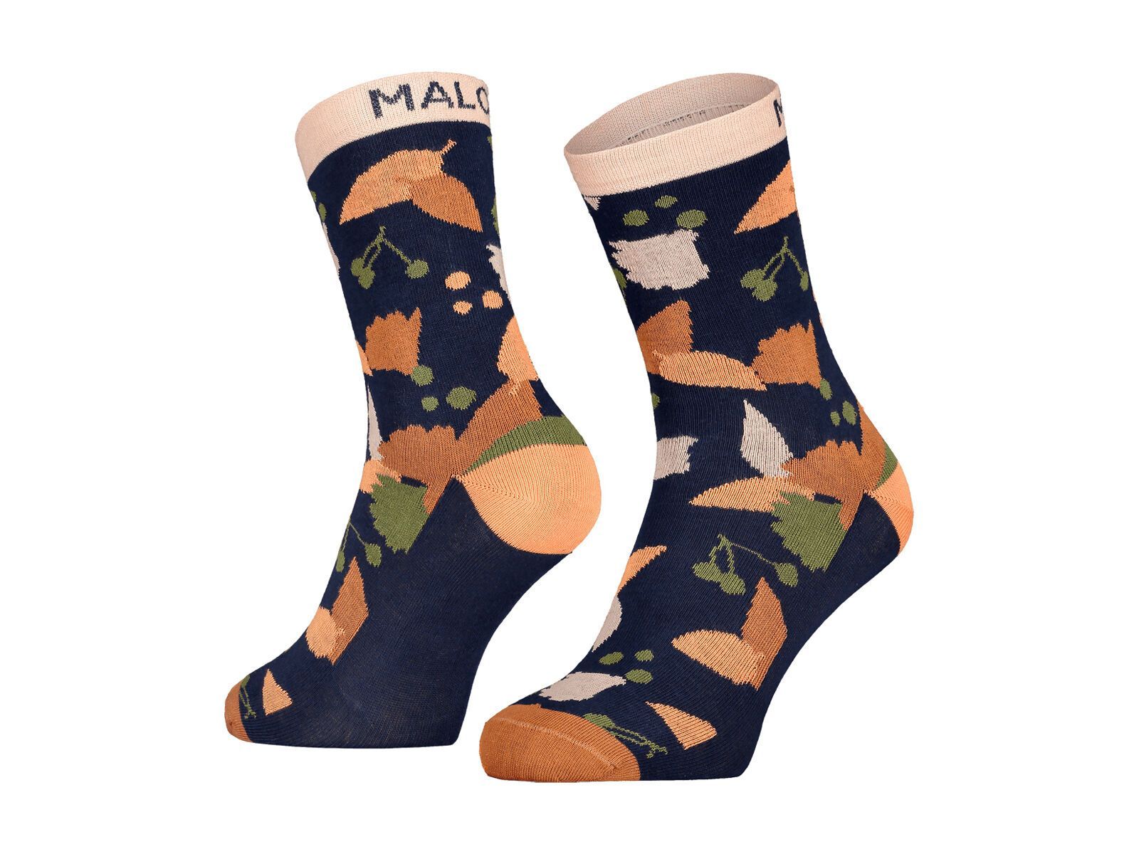 Maloja FliederM., night sky - Bild 1