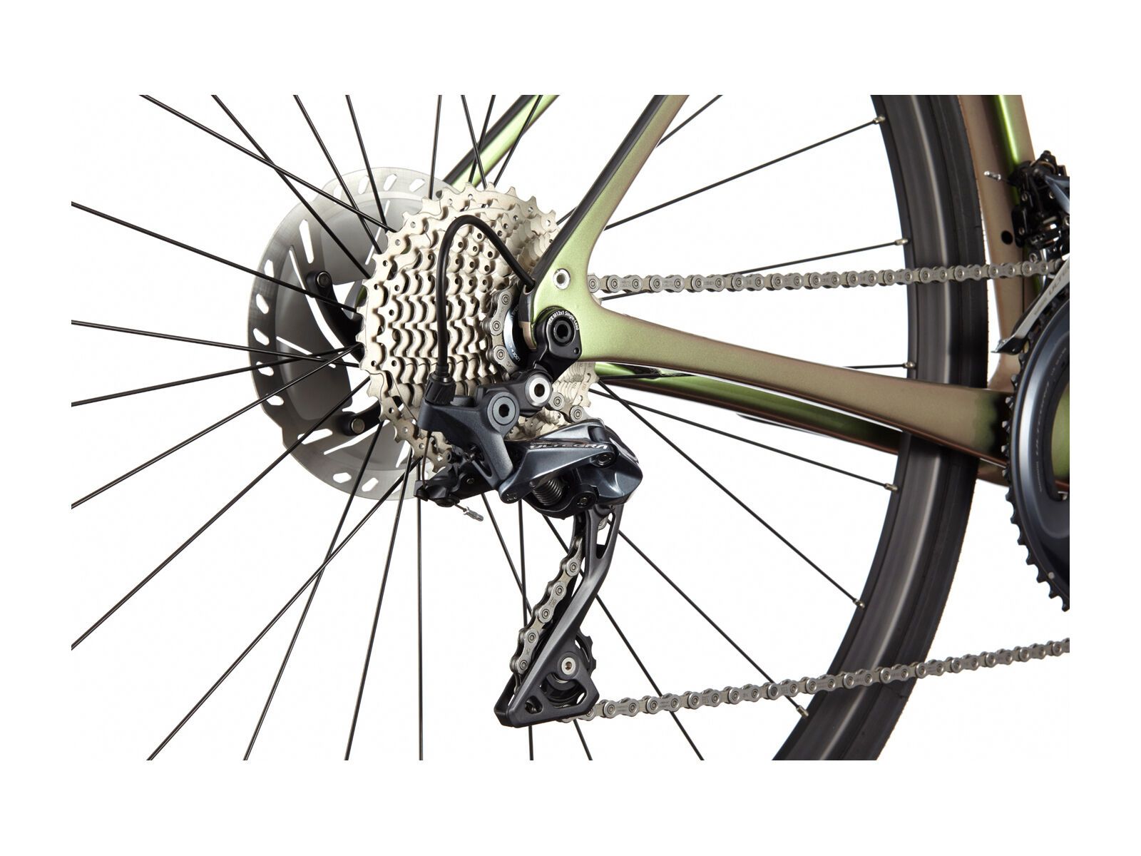 Cannondale Synapse Carbon 2 RL, beetle green - Bild 5