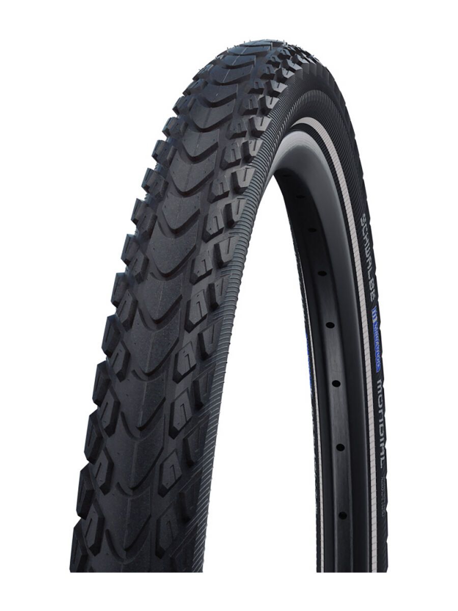 Schwalbe Marathon Mondial Evo Addix DD, V-Guard - 28 Zoll, black-reflex - Bild 1