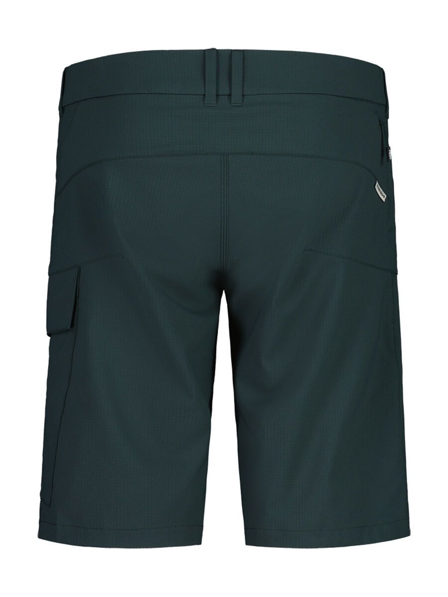 Maloja KehrwaldM., mountain pine - Bild 2