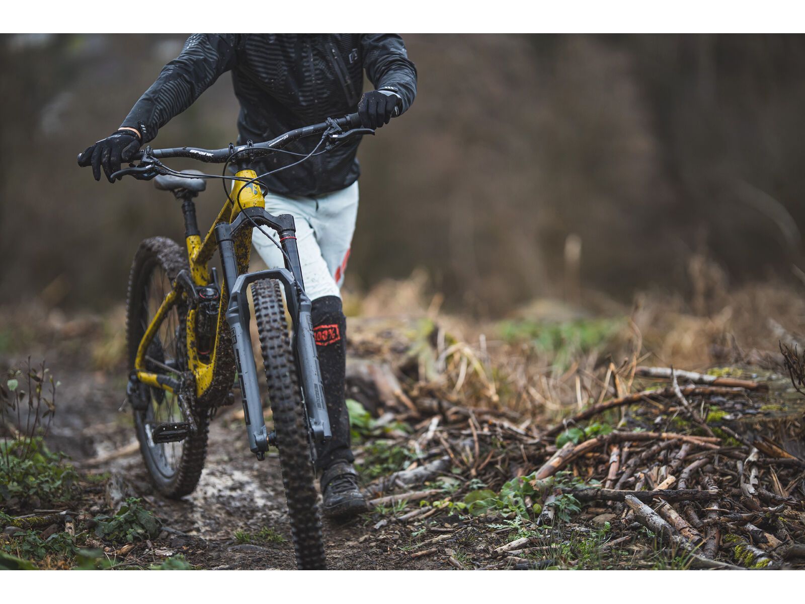 SCIU Aspen, moss yellow - Bild 28