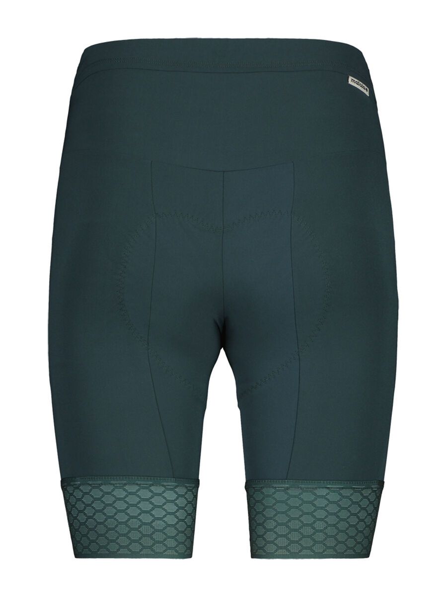 Maloja BarlaminaM., mountain pine - Bild 2