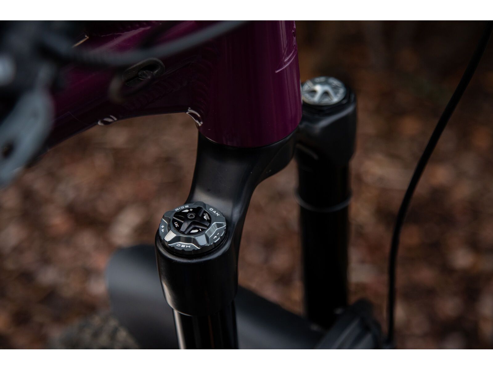 OAK Components Forkcap HSC für Fox 34, 36, 38, 40, lunargrey - Bild 2