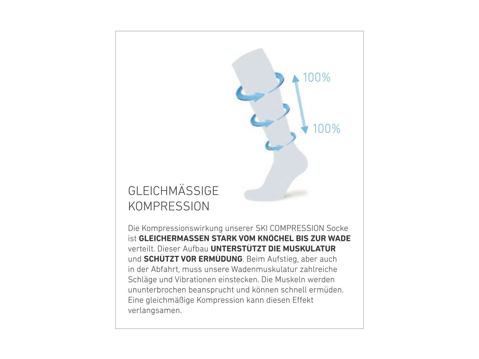 Ortovox Merino Ski Compression Socks M, night blue - Bild 2