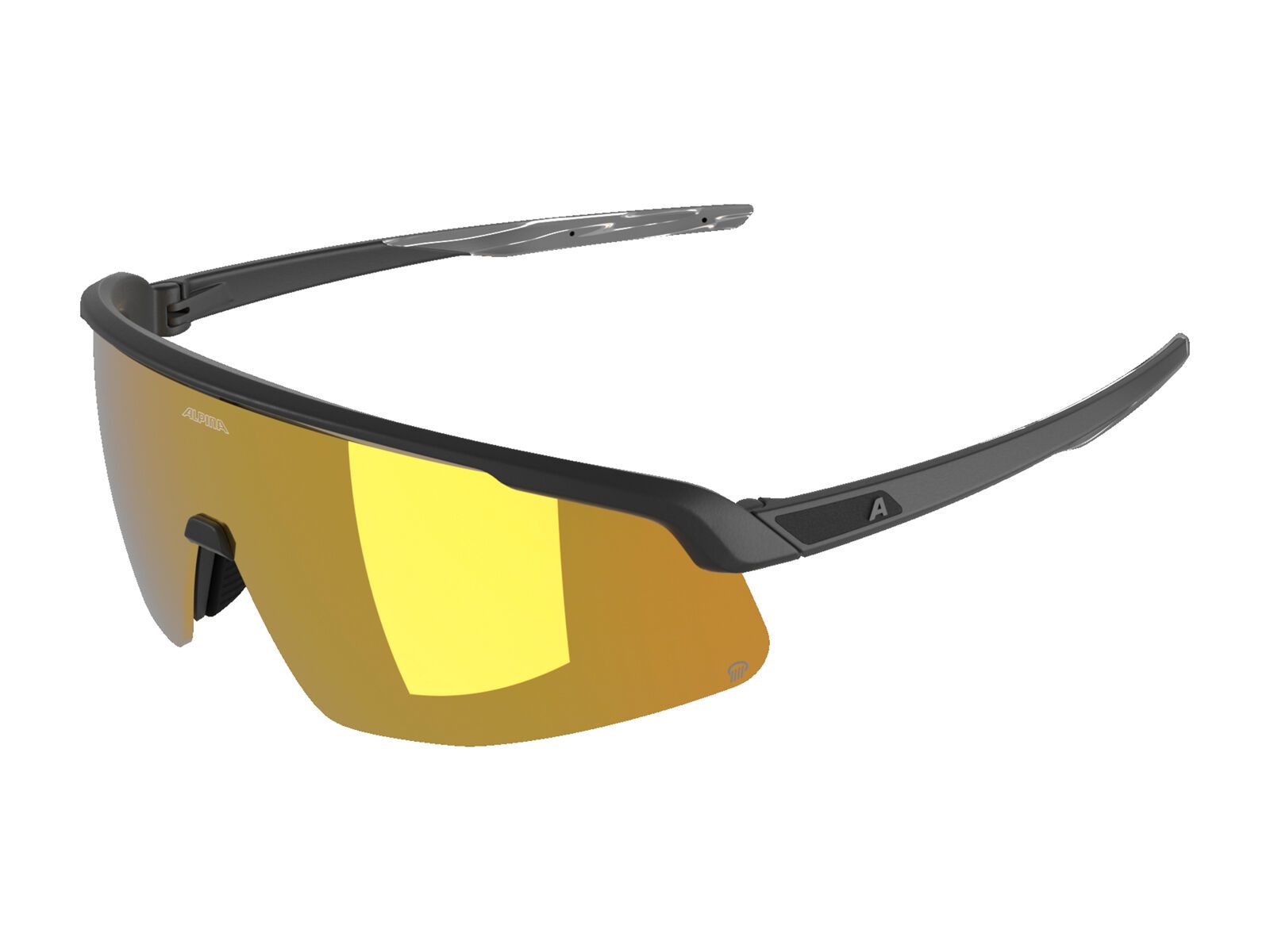 Alpina Turbo Pro Q, Gold Mirror / black matt - Bild 1