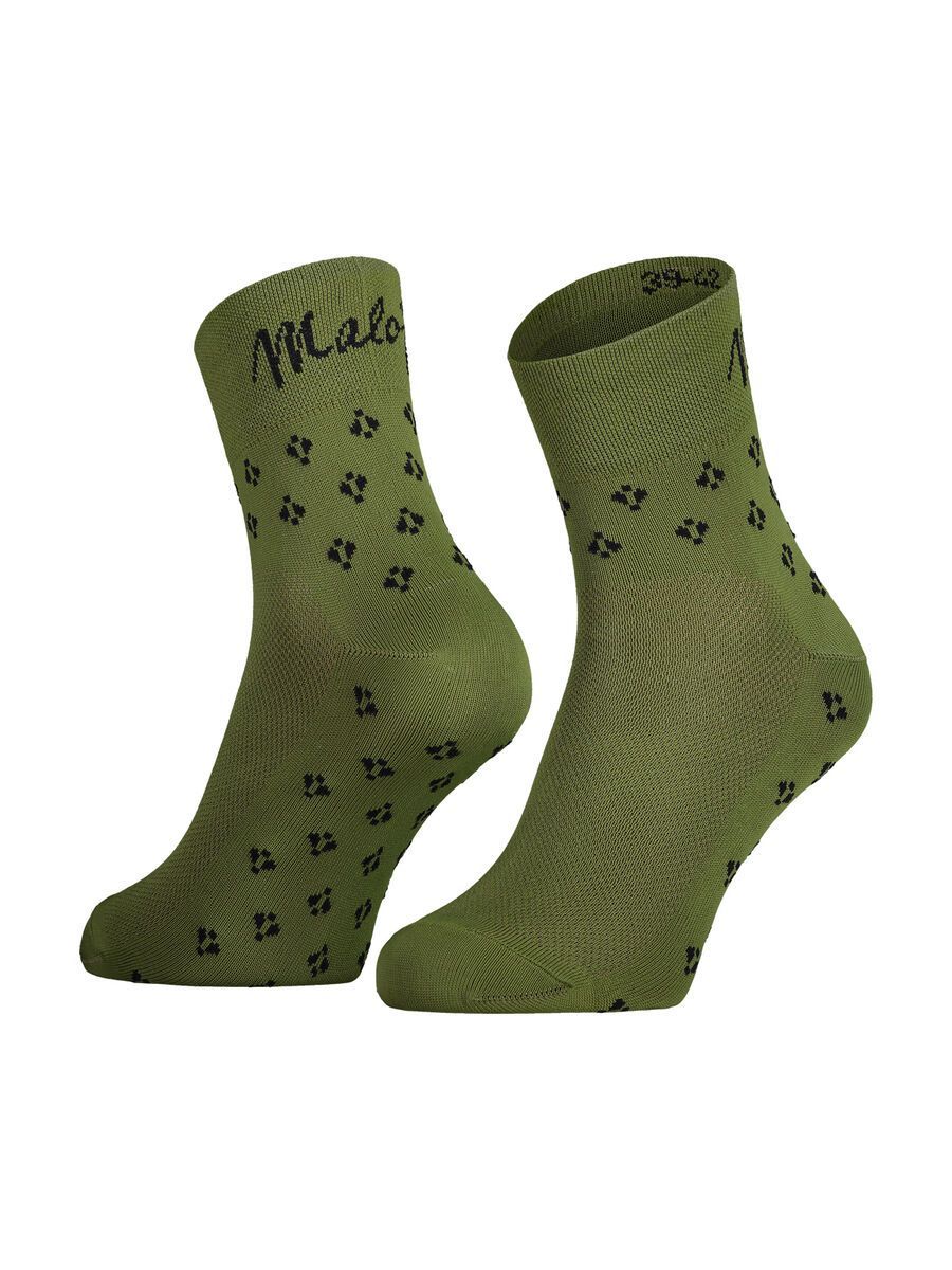 Maloja EtagenmoosM., moss - Bild 1