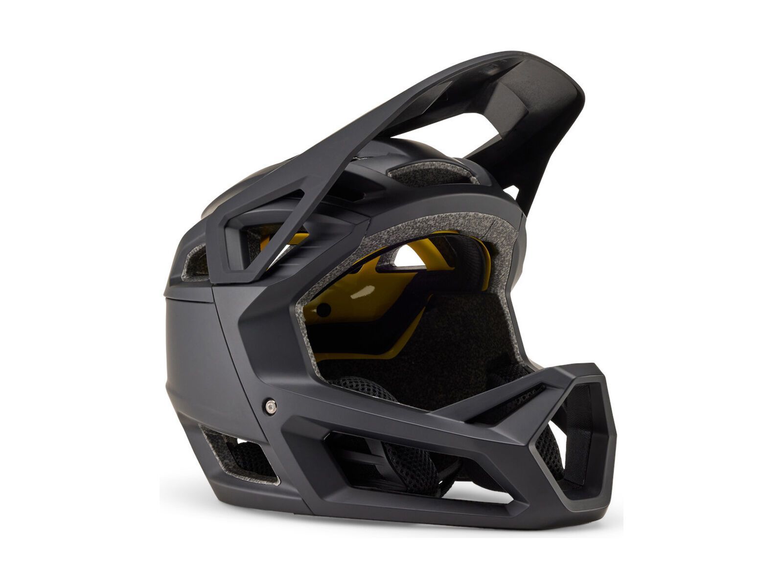 Fox Proframe, matte black - Bild 1