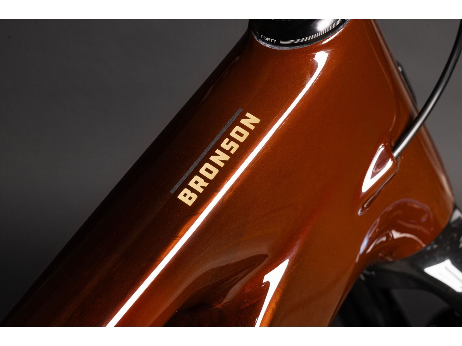 Santa Cruz Bronson CC / X0 AXS / RSV / MX, translucent root beer - Bild 10