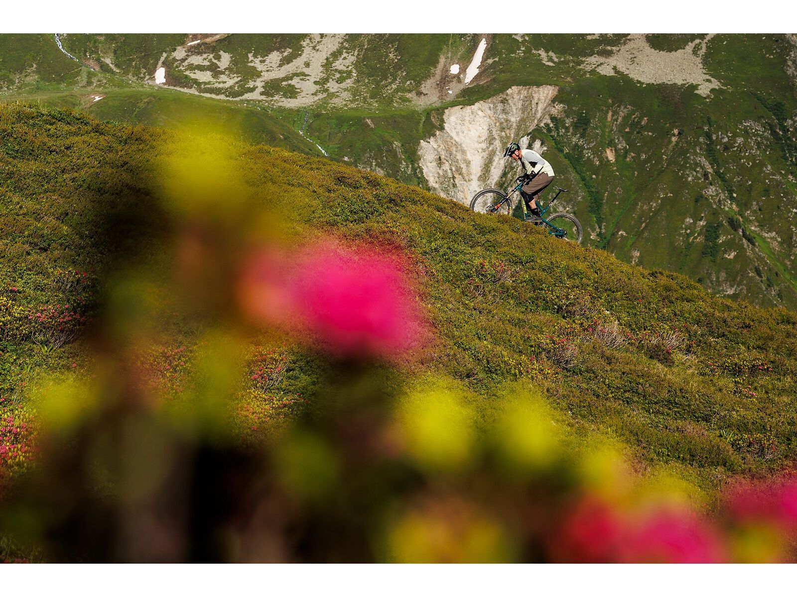 Santa Cruz Hightower C / GX AXS / 29, matte deep purple - Bild 18