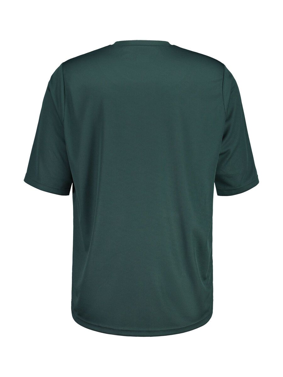 Maloja TaminesM., mountain pine - Bild 2