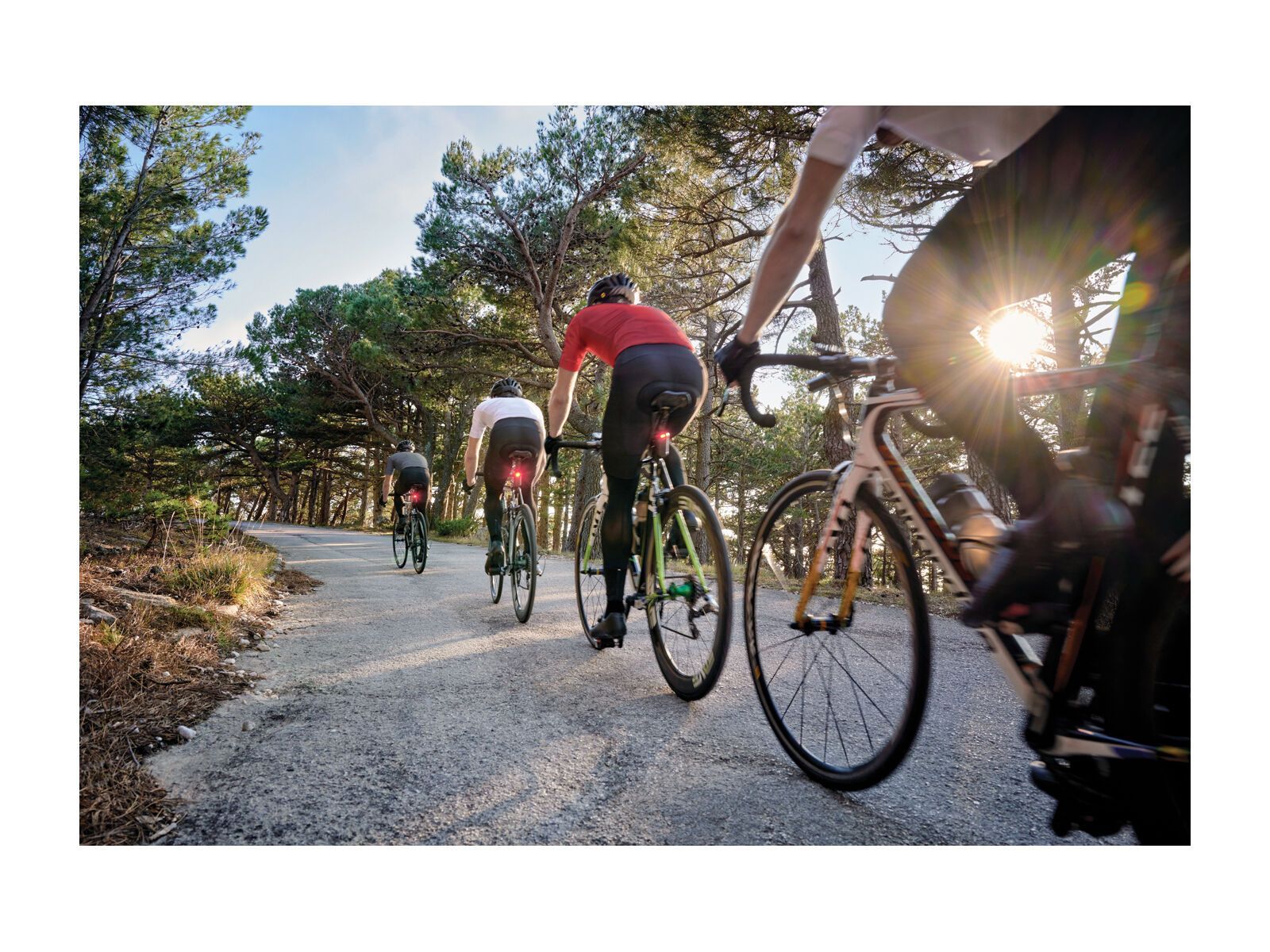 Garmin Varia RTL516 - Fahrradradar mit Rücklicht, schwarz - Bild 8