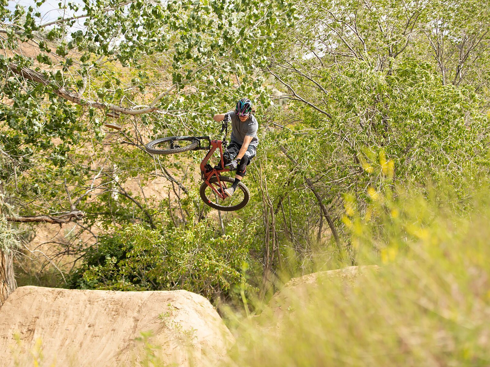 Santa Cruz 5010 C XT Reserve, raspberry sorbet - Bild 4