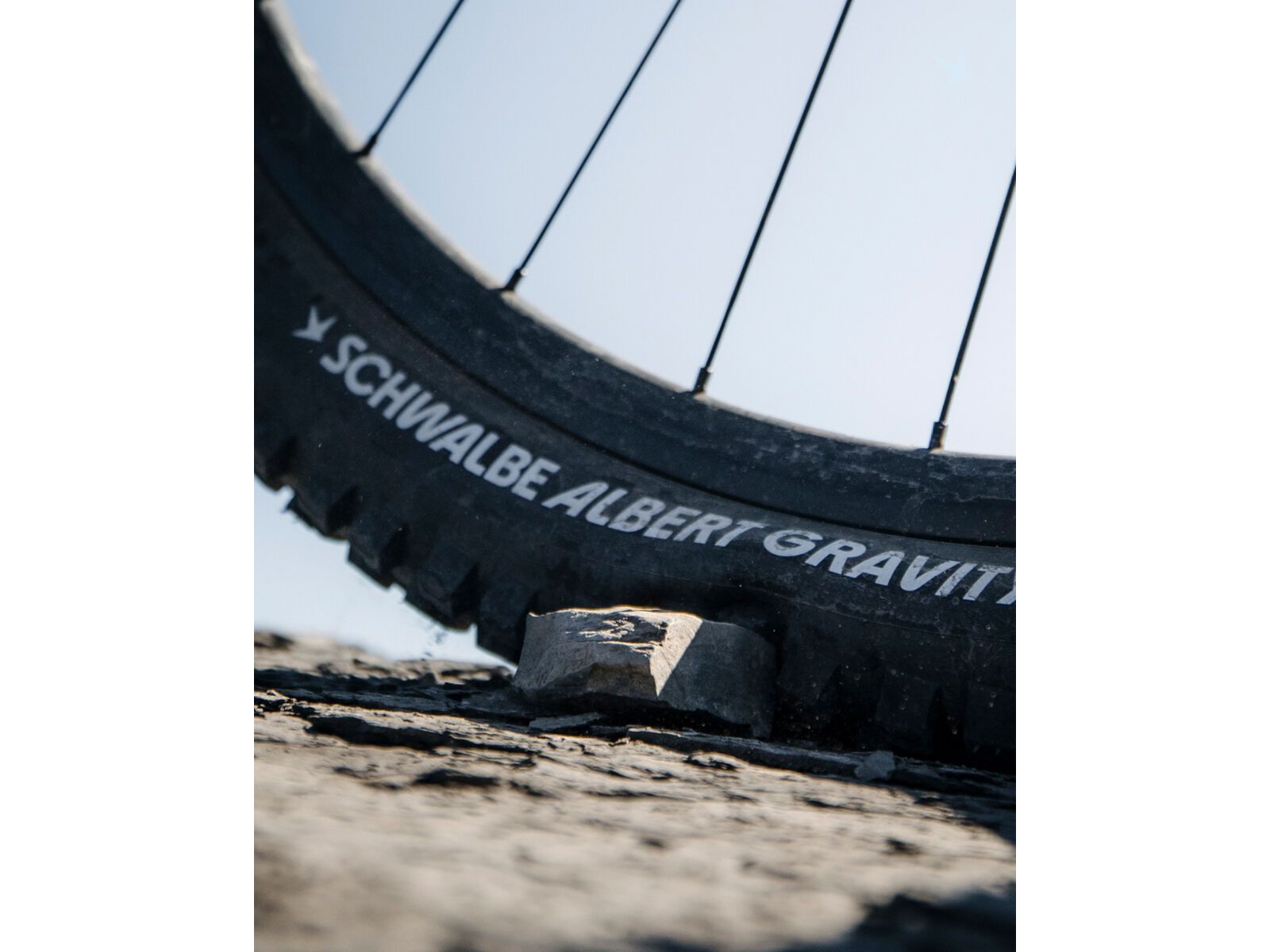 Schwalbe Albert Radial Addix Ultra Soft Trail Pro - 27.5 Zoll - Bild 7