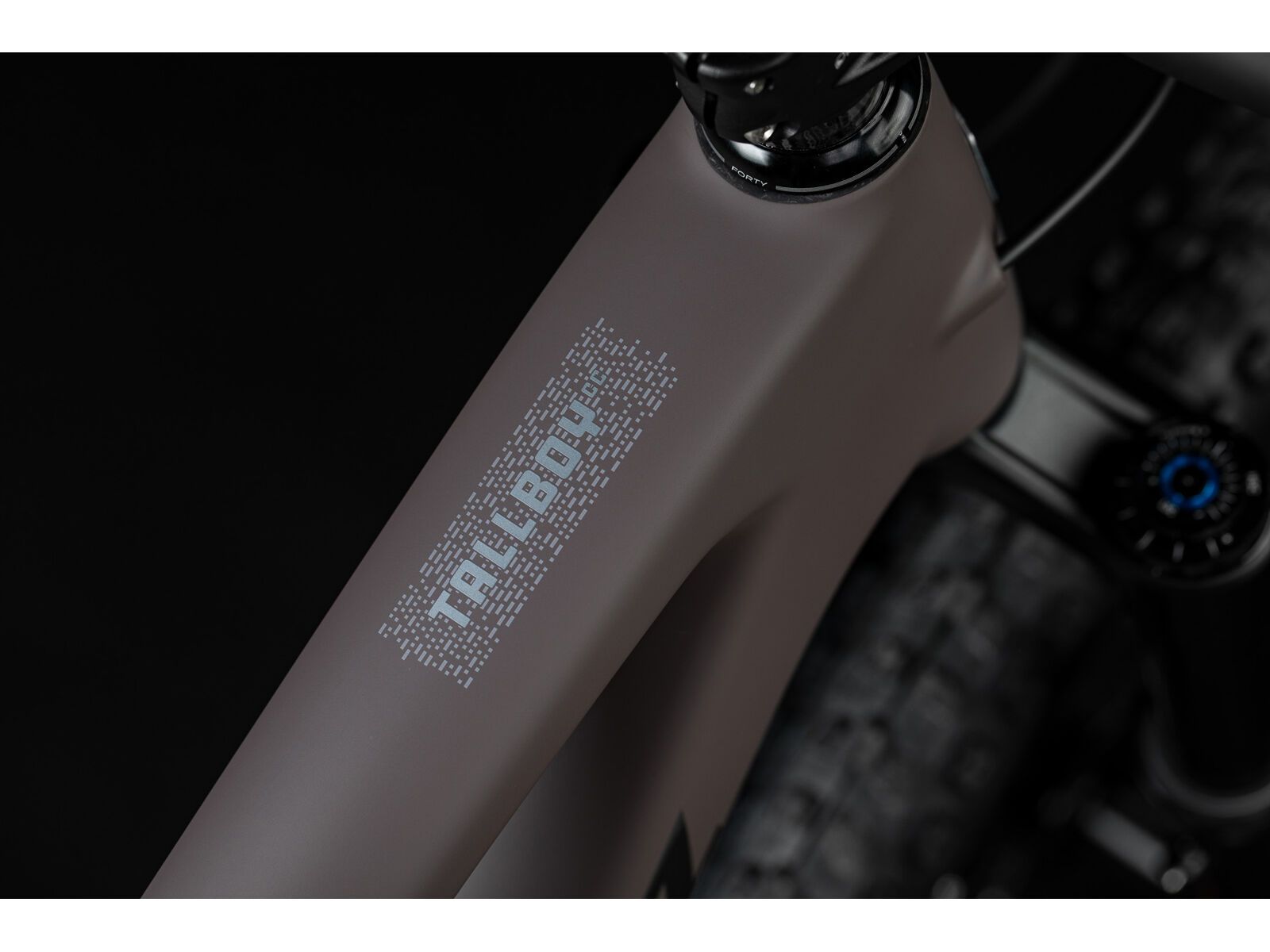 Santa Cruz Tallboy C / GX AXS / 29, matte taupe - Bild 7