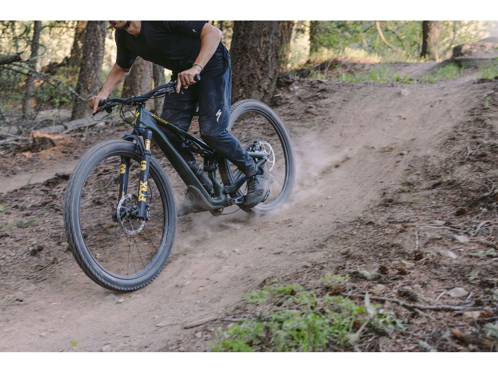 Specialized Stumpjumper 15 Pro - 29/29, satin green tint/gunmetal/satin metallic sulphur - Bild 19