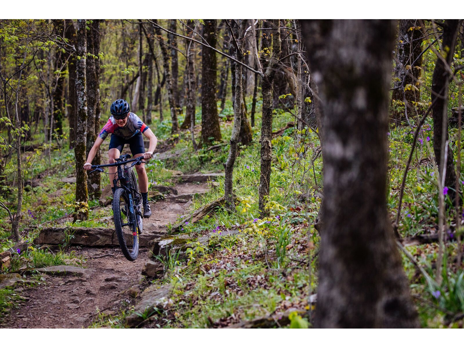 Santa Cruz Blur C / XT / RSV / 29, sockeye sal/blue - Bild 15