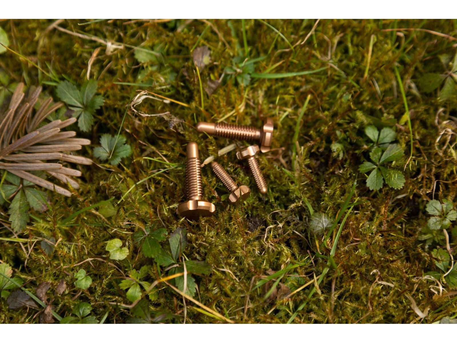 OAK Components RLP Schrauben Set (4 Stck.), copper - Bild 2