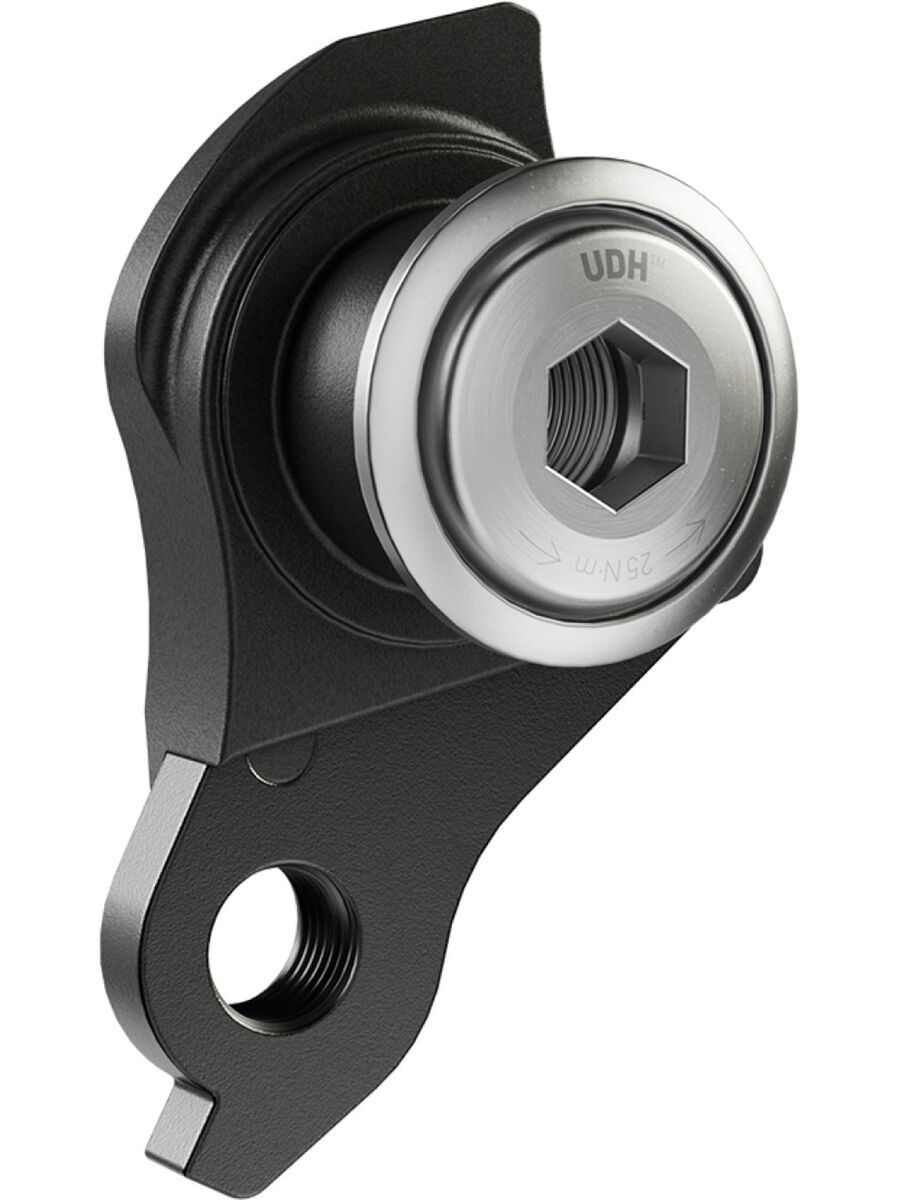 SRAM UDH / Universal Derailleur Hanger, silver - Bild 1