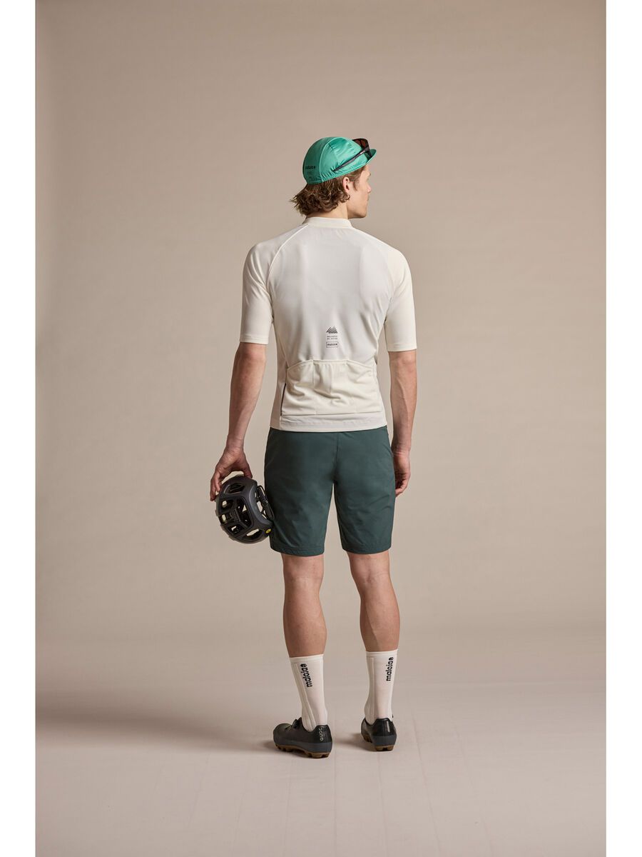 Maloja StagiasM., mountain pine - Bild 3