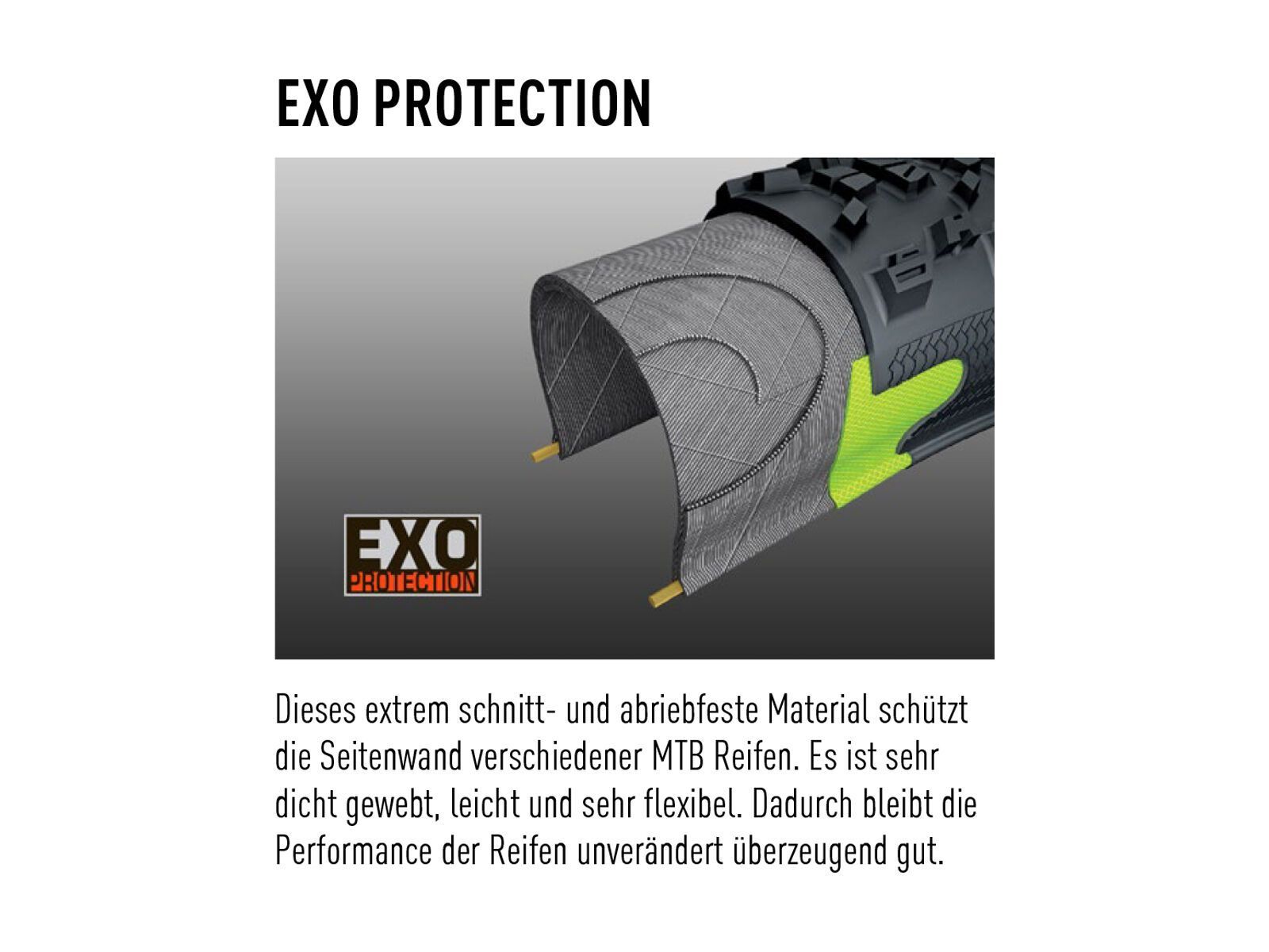 Maxxis Rambler Dual EXO TR - 700C - Bild 3