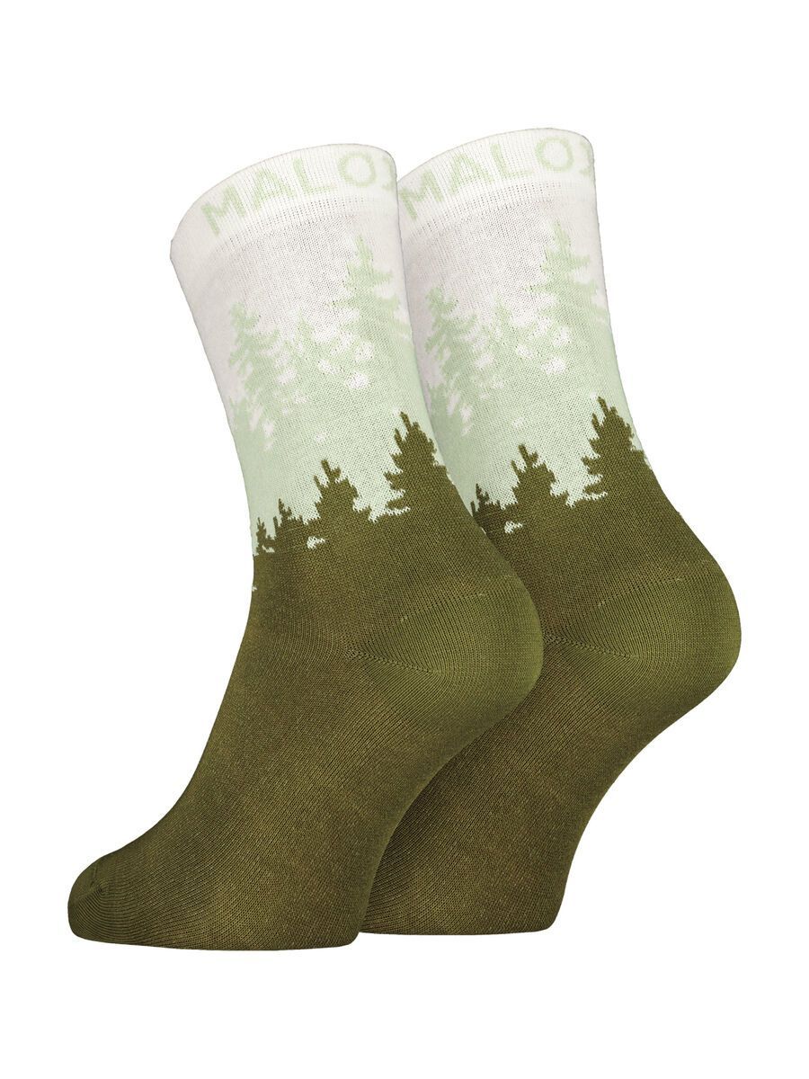 Maloja ScotoniM., moss - Bild 1