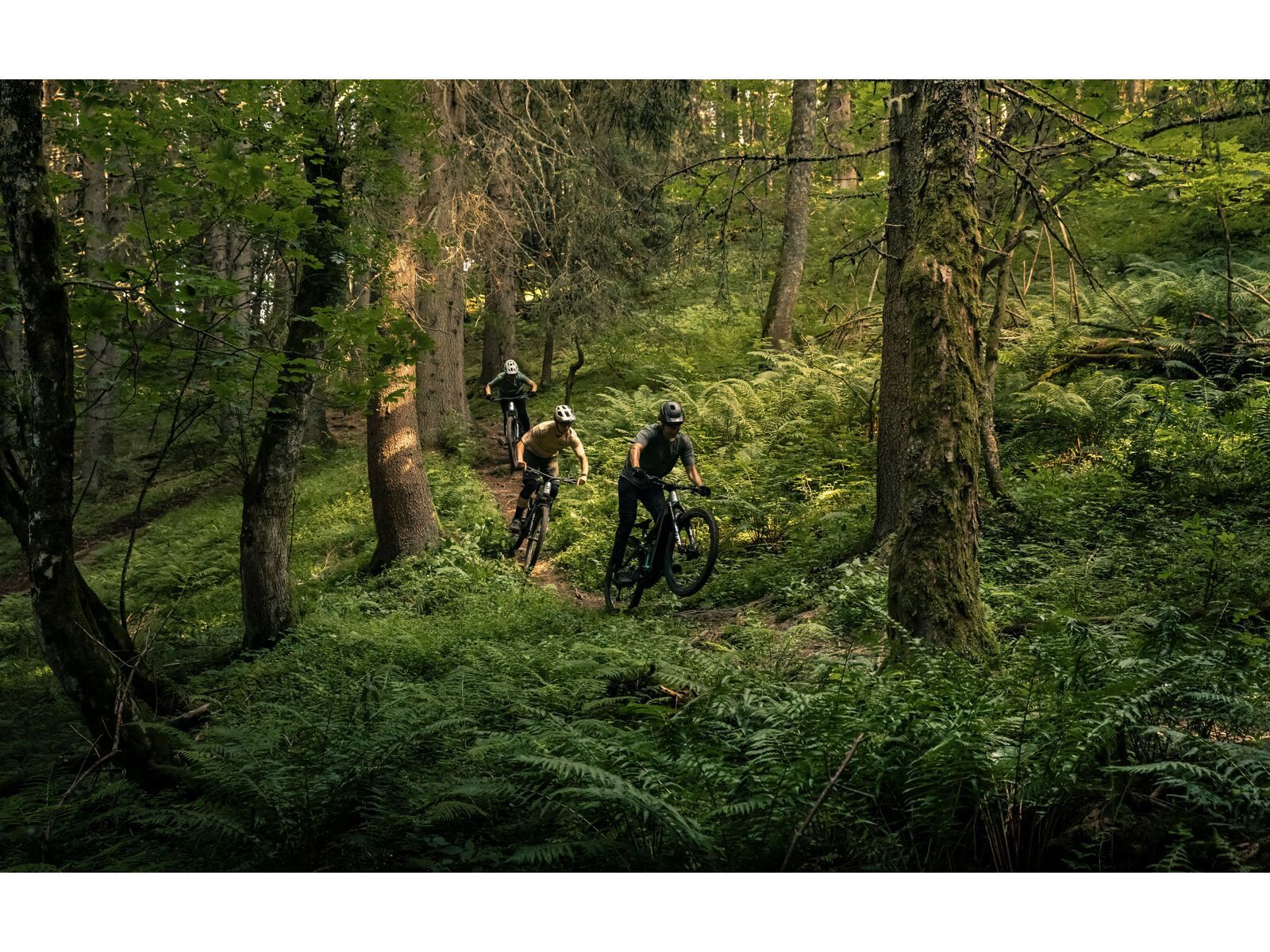 Focus Jam² 6.7 - 600, white / adamantsilver - Bild 33