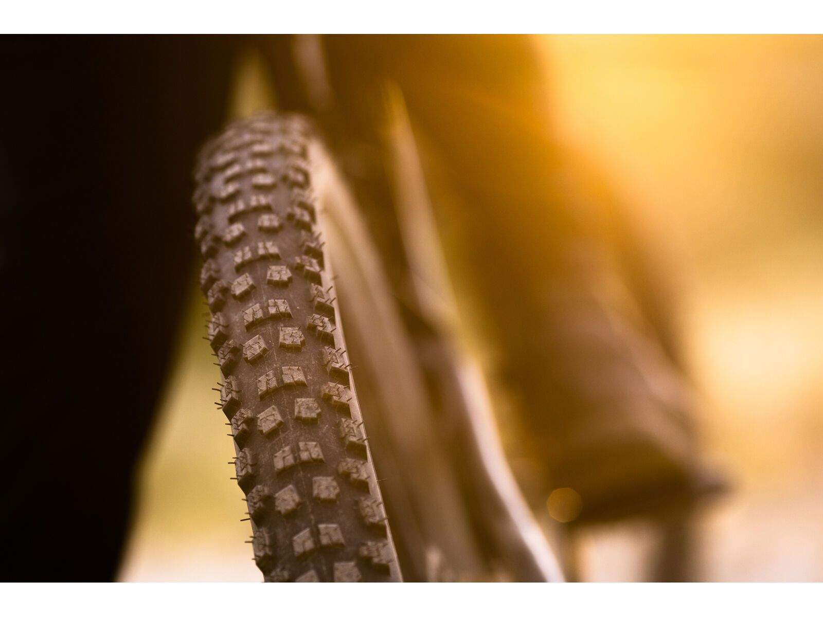 Specialized Purgatory Grid Trail 2Bliss Ready T7 - 29 Zoll - Bild 9