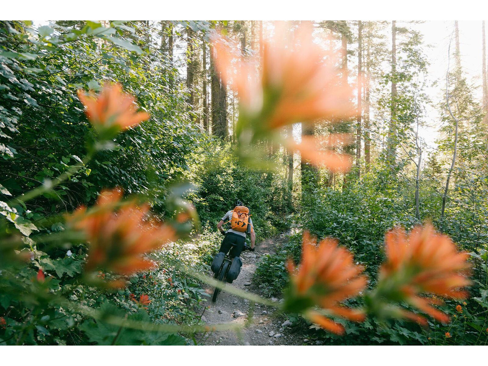 Aeroe 11L QuickLock Adventure Pod, black - Bild 12