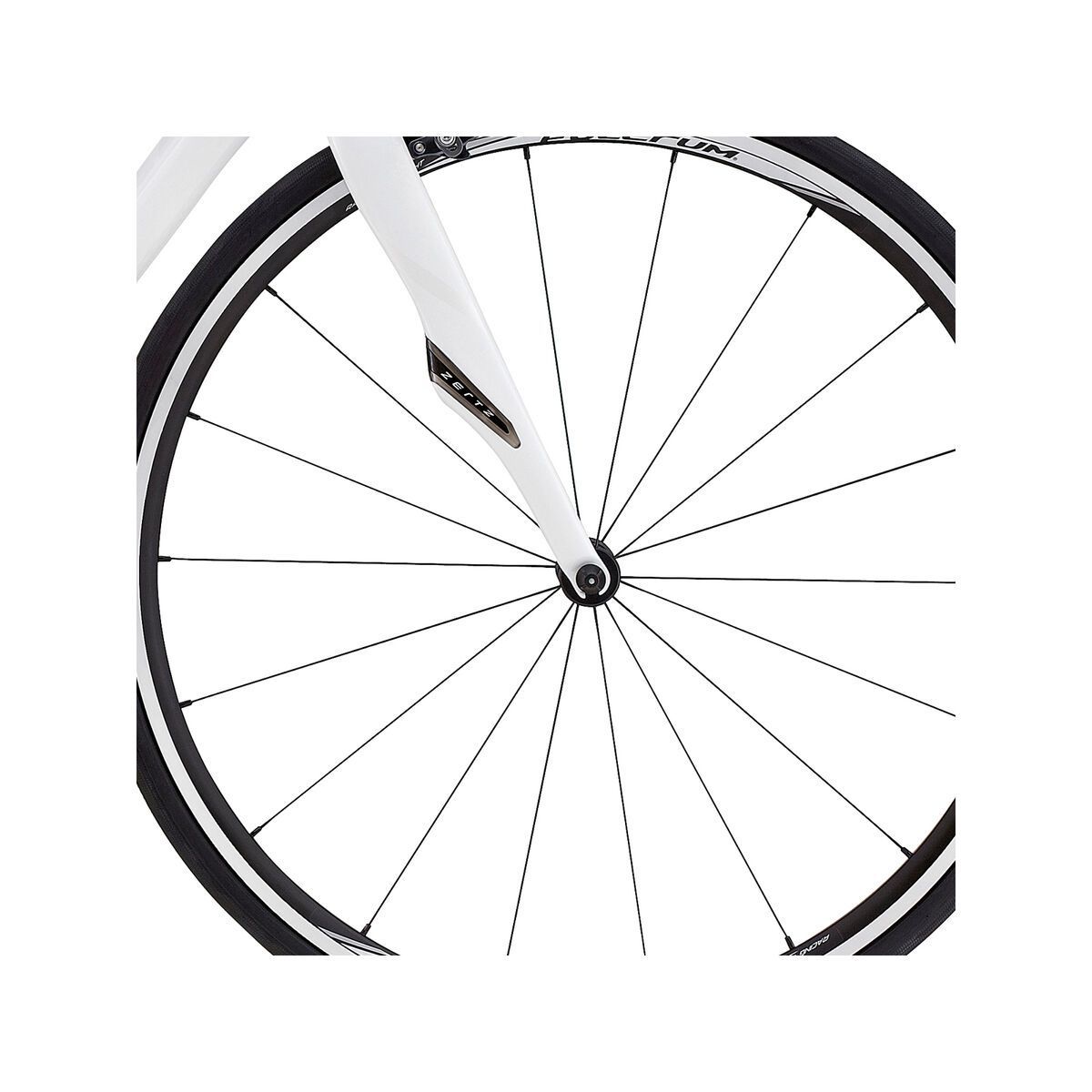Specialized Ruby Comp, gloss metallic white/white - Bild 2