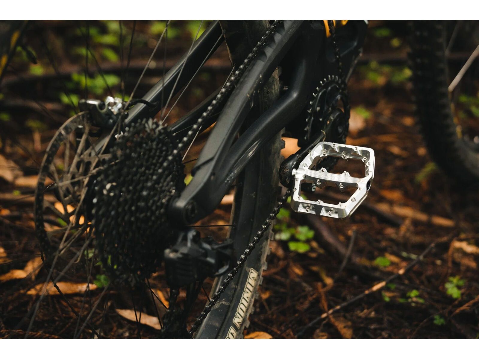 Wolf Tooth Waveform Aluminium Pedals - Large, silver - Bild 6