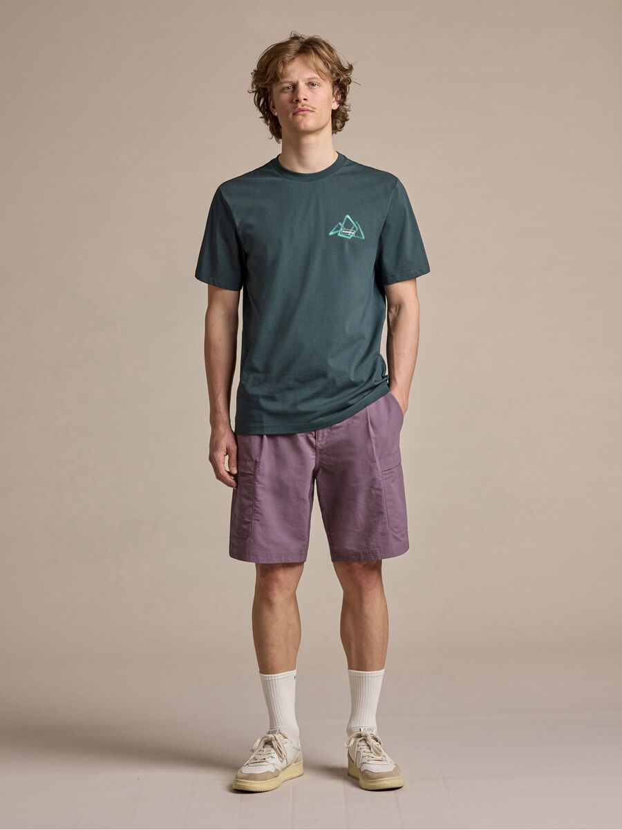 Maloja NalboM., mountain pine - Bild 3