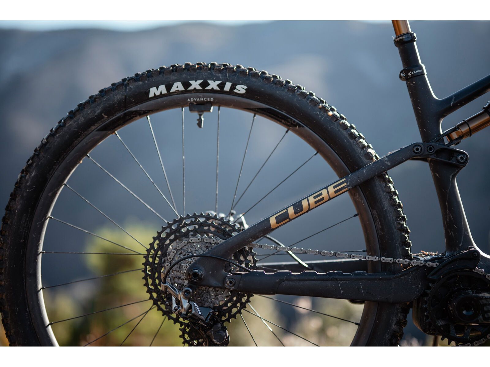 Cube AMS Hybrid One44 C:68X SLT 400X 29, carbon´n´golddust - Bild 15