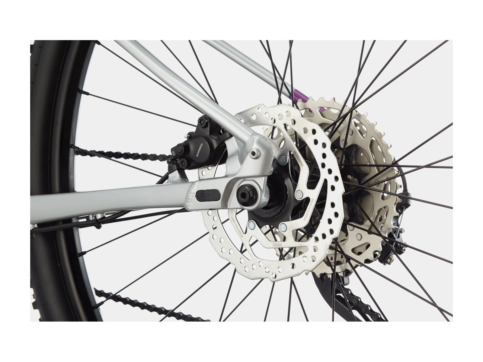 Cannondale Trail Women's SL 4, purple - Bild 7