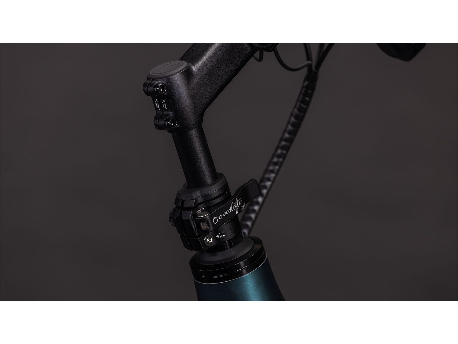 Cube Longtail Hybrid 800, royalgreen´n´black - Bild 5