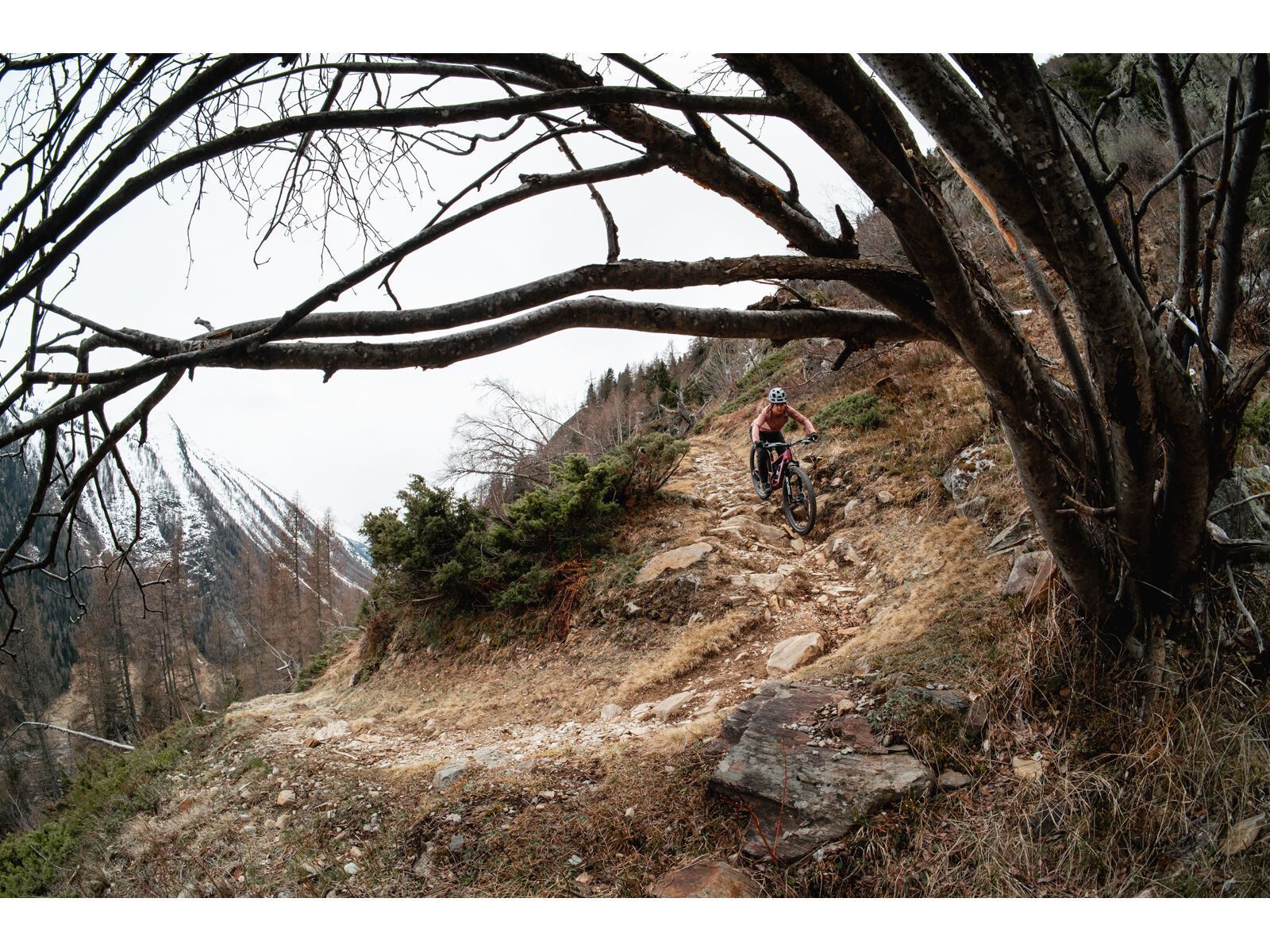 Santa Cruz Hightower C / GX AXS / 29, matte cardinal red - Bild 16