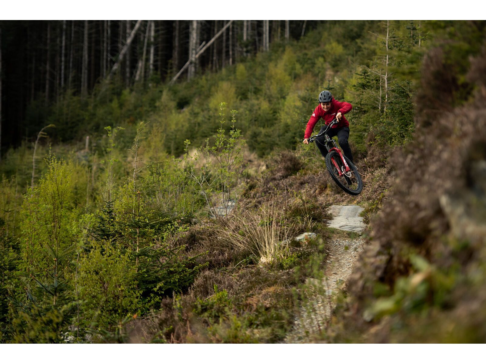 Santa Cruz Bronson C / S / MX, gloss moss/blue - Bild 7